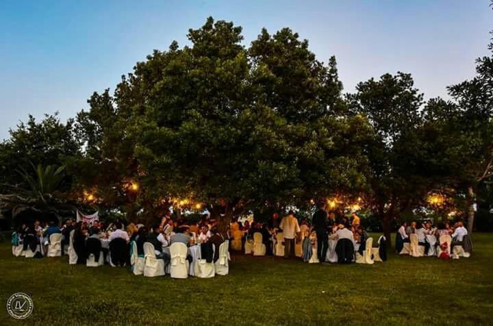 Agriturismo Villa Toscana Campiglia Marittima Eksteriør bilde