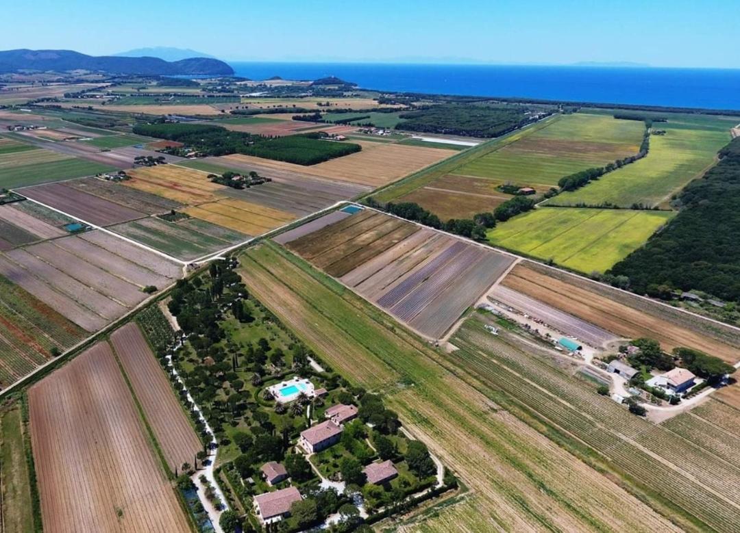 Agriturismo Villa Toscana Campiglia Marittima Eksteriør bilde