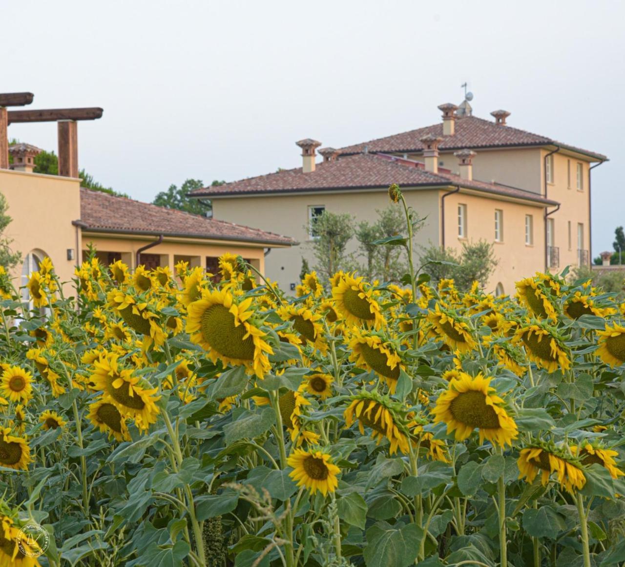 Agriturismo Villa Toscana Campiglia Marittima Eksteriør bilde