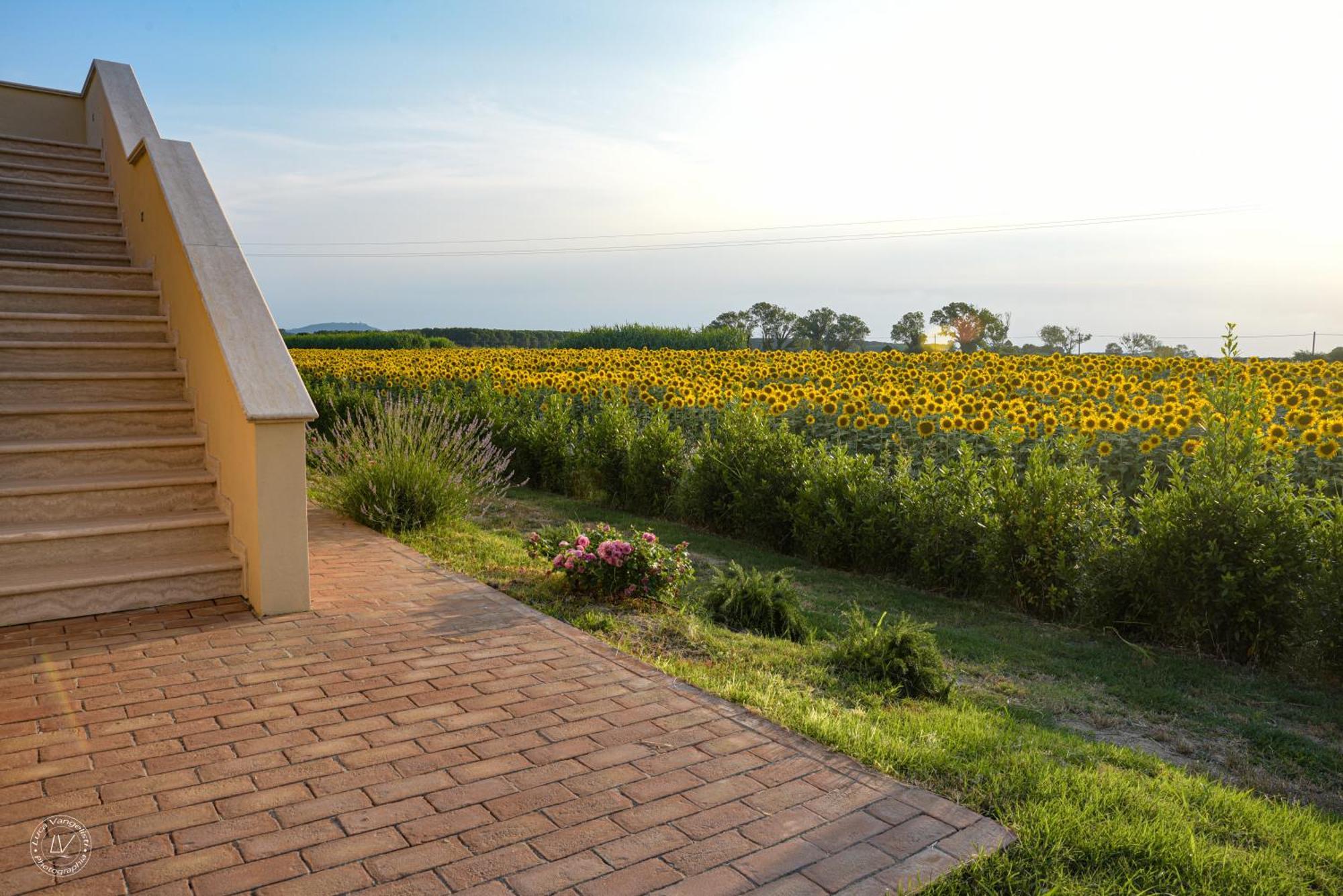 Agriturismo Villa Toscana Campiglia Marittima Eksteriør bilde
