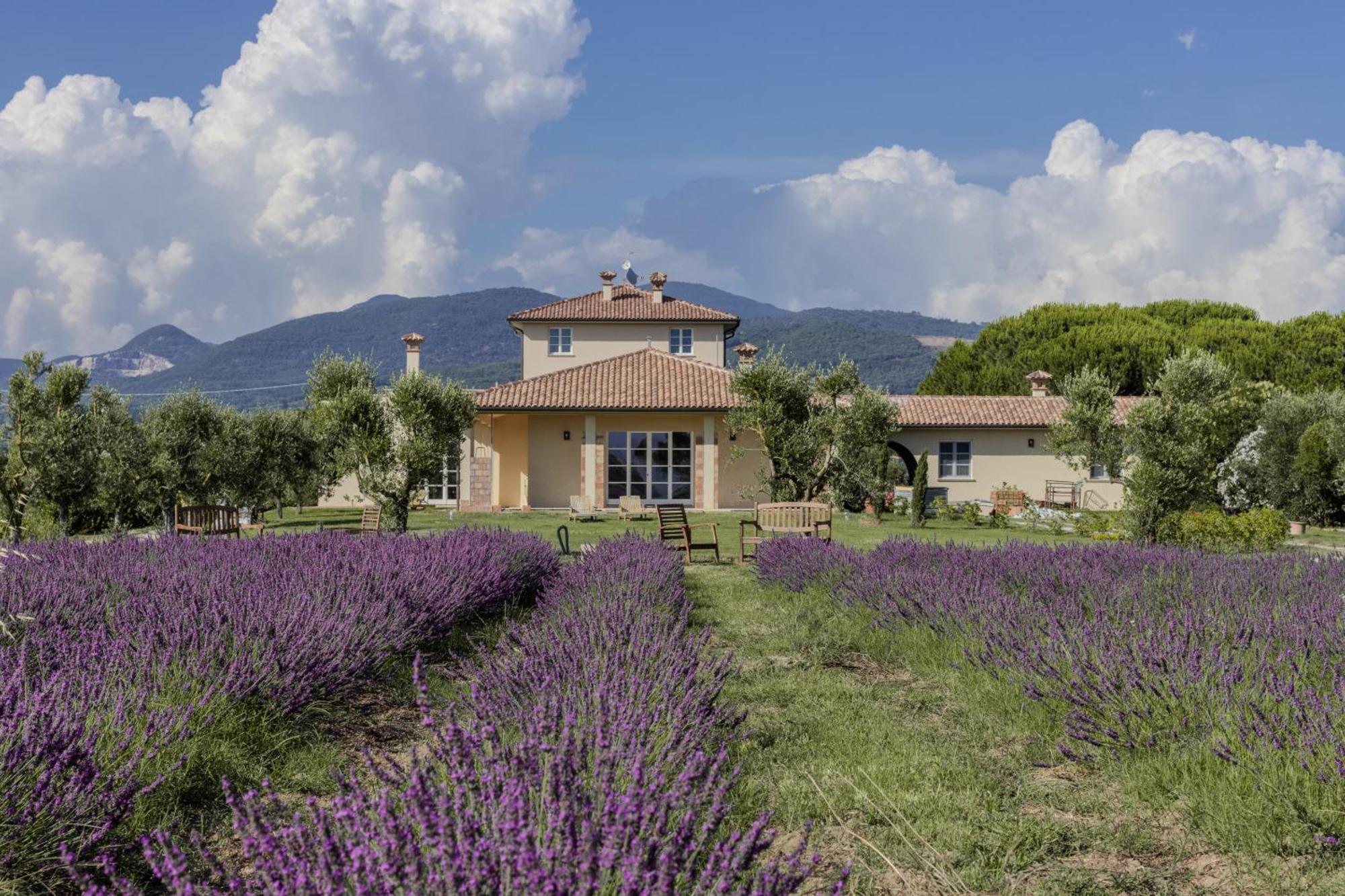 Agriturismo Villa Toscana Campiglia Marittima Eksteriør bilde