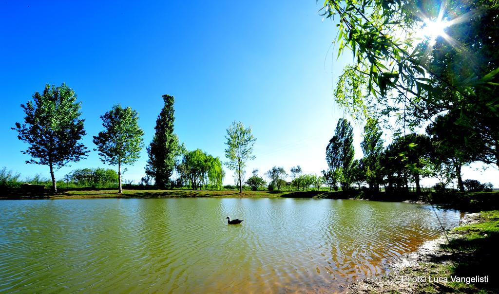 Agriturismo Villa Toscana Campiglia Marittima Eksteriør bilde