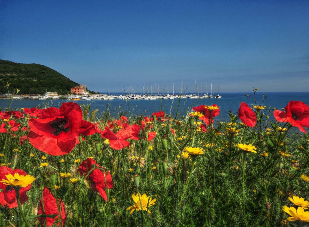 Agriturismo Villa Toscana Campiglia Marittima Eksteriør bilde